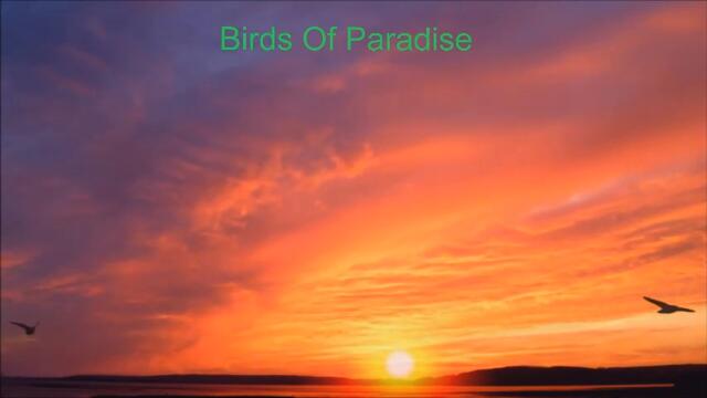 Birds Of Paradise  - Peter, Sue & Marc (Bg.Превод)