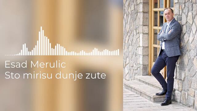 ESAD MERULIC - STO MIRISU DUNJE ZUTE (OFFICIAL AUDIO) 2022
