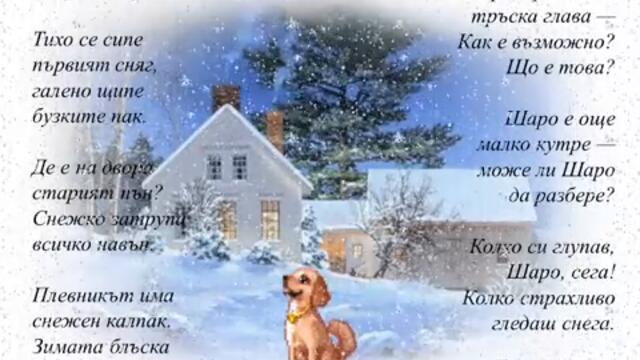 Шаро и първият сняг  🎄 ☃️ ❄️  Детски Песни за Коледа и Нова година ღ ❄️  ❄️  ❄️