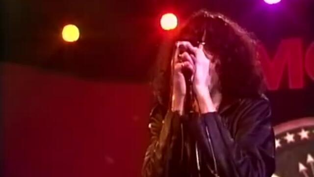 Ramones (1978) - Needles And Pins (LIVE)