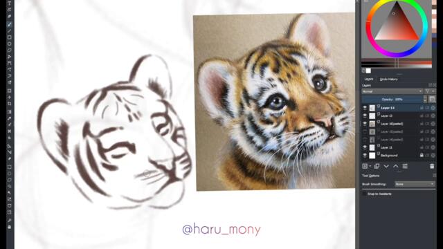 Drawing Process | Baby tiger & Hangsome guy