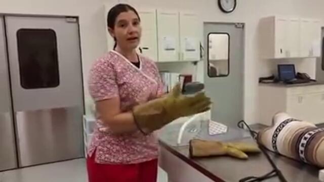 Veterinary Technician Training: Handling a Fractious Cat
