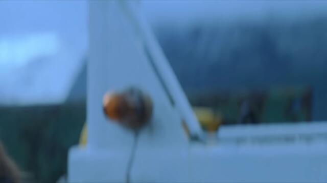 Black Widow litters in Norway :(