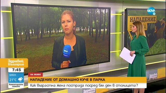 Домашно куче нападна възрастна жена в столичен парк - Здравей, България (20.07.2021)