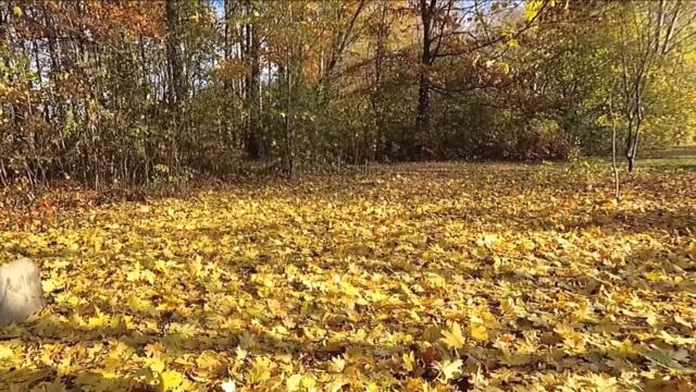 ПОП - ЗВЕЗДА Лариса Гордьера 🍂 и НЕ БЫВАЕТ СЛИШКОМ ПОЗДНО для ЛЮБВИ @MobyLife