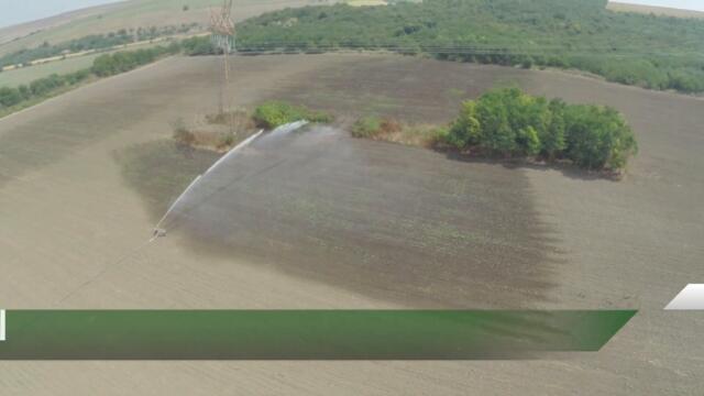 Централна емисия новини на АГРО ТВ - 22.07.2021 г.