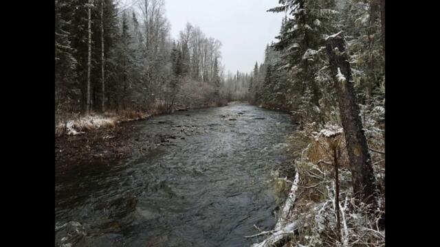 ЭПИЗОД 7-2. День третий. 29-30 по Ауспии. ОБРАТНЫЙ ОТСЧЕТ. ГРУППА ДЯТЛОВА.