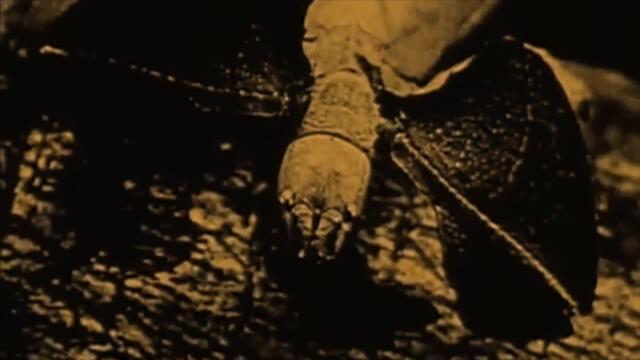 Capo Lee ft D Double E  - Mud (Unknown Remix) [unreleased]