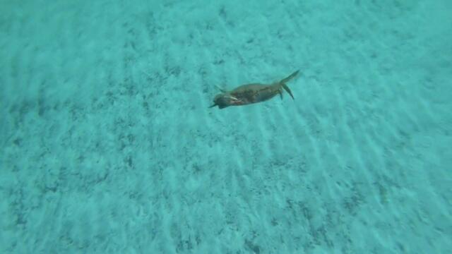 My name is Giovanni Giorgio...