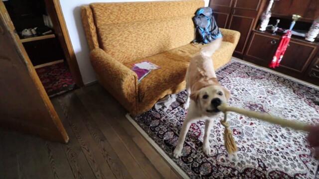 НЕ УСПЯХ ДА СЛОЖА РЪЦЕТЕ, ПРЪСНАХ СИ...