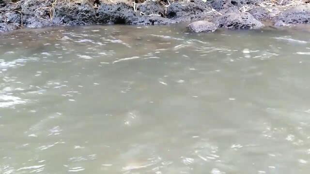 ABDUL AZIS BARAJA, SANG PEMBURU BENDA KUNO Part 82