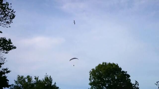 Burgas: the Sea Garden, beach. Вечерний Бургас: центр, Приморский парк, пляж. Бургас: Морска градина