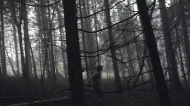 Përl - Je parle au Sauvage (Official video)