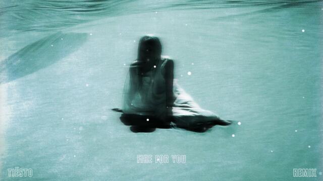 Cannons, Tiësto - Fire for You (Tiësto Remix - Visualizer)