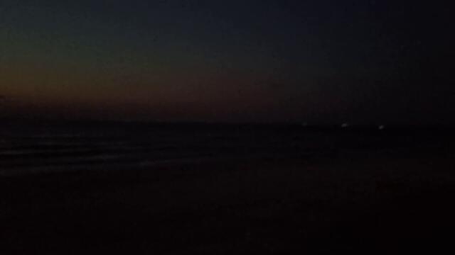 ПОЛНОЛУНИЕ, ВЕТЕР С МОРЯ И СОБАЧЬИ ДРУЗЬЯ))))