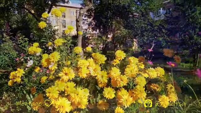 Доброе Утро! С 1 АВГУСТА ! Будь ЗДОРОВ, БОГАТ и ВЕСЕЛ !