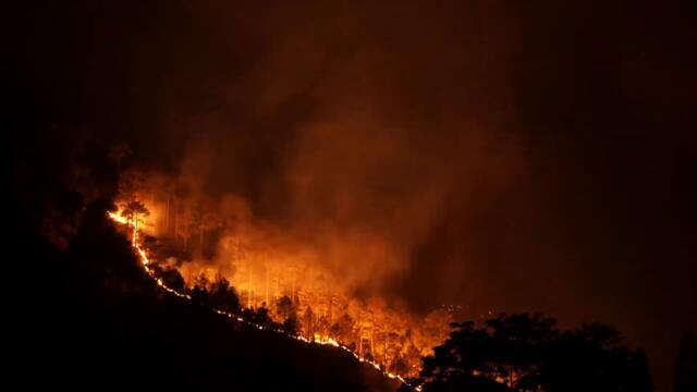 Страшные лесные пожары атмосфера звуки и видео /Звуки лесного пожара