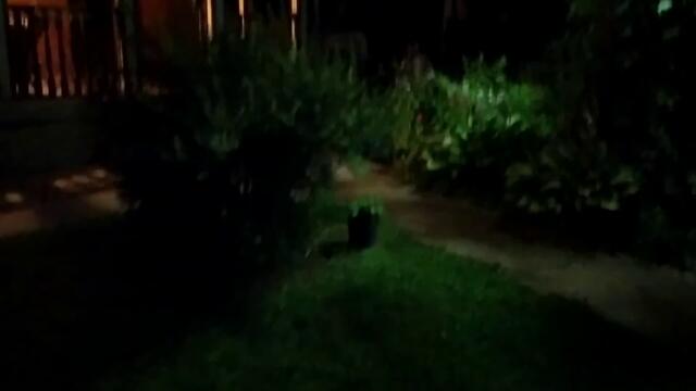 Влог:ночная вылазка/домашние хлопоты/можно ли в полнолуние солить огур...