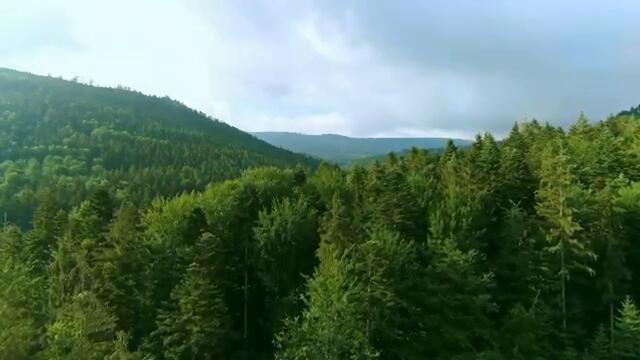 ВОДЕНА МЕДИТАЦИЯ за привличане на успех, изобилие и благоденствие ХИПНОЗА