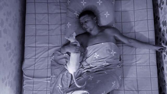 Splinter - Полнолуние