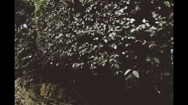 Far Caspian - Pretend (Feat. BOYO) (Official Video)