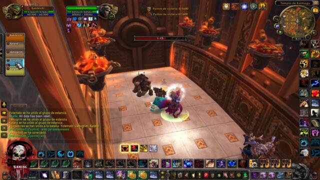 haciendo bg con feral - respondo por ultima vez a un sub - pandaria athenas wow