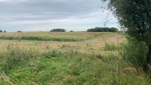 КОП НА МЕСТЕ НЕМЕЦКОЙ ДЕРЕВНИ. METAL DETECTING. КОП ПО ВОЙНЕ КОП ПО СТАРИНЕ