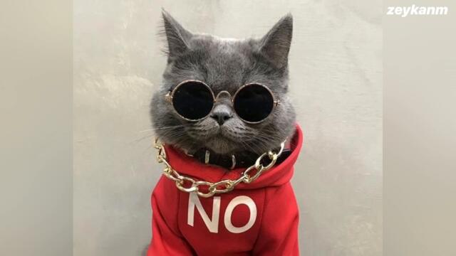 THRILL PILL - Детка прости меня я бабник (TikTok Remix)