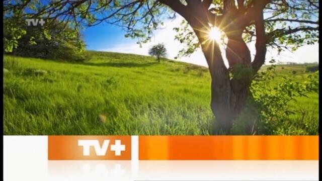 TV+ Времето