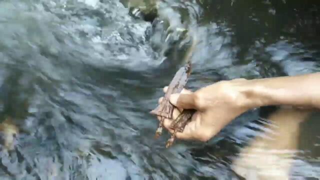 ABDUL AZIS BARAJA, SANG PEMBURU BENDA KUNO Part 83