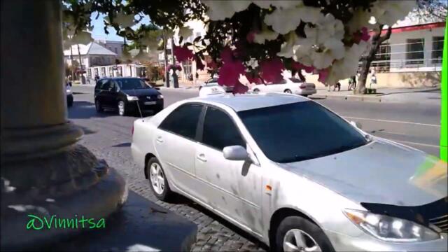 Владимир Трофимов 🌿ЗАЧЕМ УХОДИТЕ, УХОДИТЕ