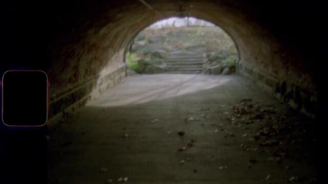 Bliss Fields - "Peal" (Official Music Video)