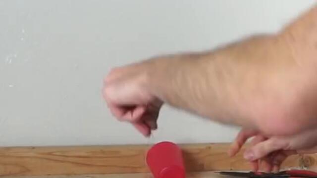 How Much Weight Can My Pet Fly Lift?