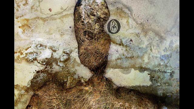 Negură Bunget - Cunoașterea Tăcută