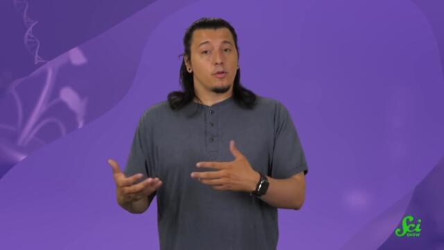 The Salamander That Refuses to Grow Up