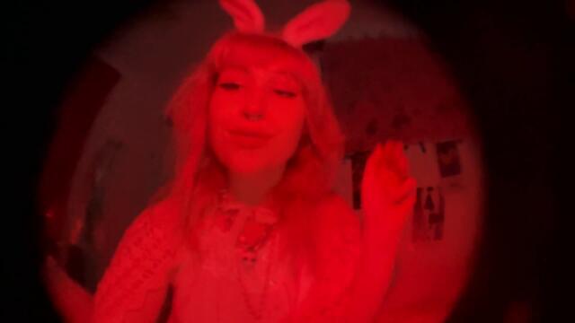 biblemami - bunny