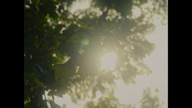 gareth.t - speed limit (official video)