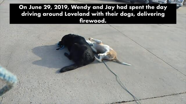 LOVELAND COP SURPRISES FAMILY, SHOOTS THEIR DOG IN BROAD DAYLIGHT