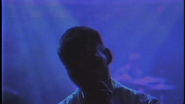 Muted Color - Daisy Chain (Official Music Video)