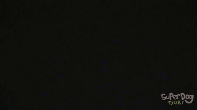 SONIC NOOO! Friday Night Funkin SONIC.EXE Cursed Week... FNF Mods #62