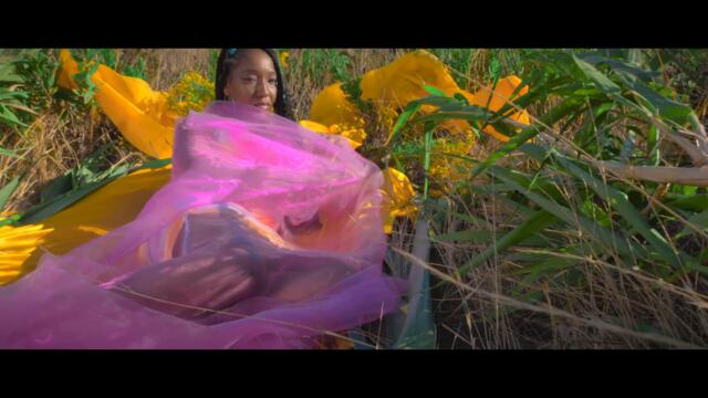 DJAYLA Amor é Amor OFFICIAL VIDEO 2021 4K