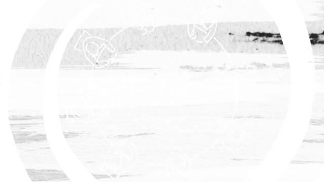 Eric Clapton - This Has Gotta Stop (Official Music Video)