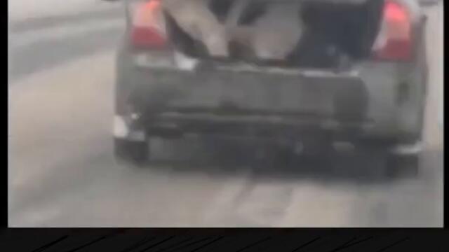 DASH CAM HD| RUSSIAN ВИДЕО РЕГИСТРАТОР | GAMEYAASU YOUTUBE 3TOPVIDS VIRAL SHORTS СМОТРЕТЬ ВСЕМ !!!