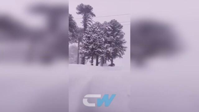 Incredible snow storm hits Argentina ! Mountains of snow buries cars, homes and streets in Neuquen