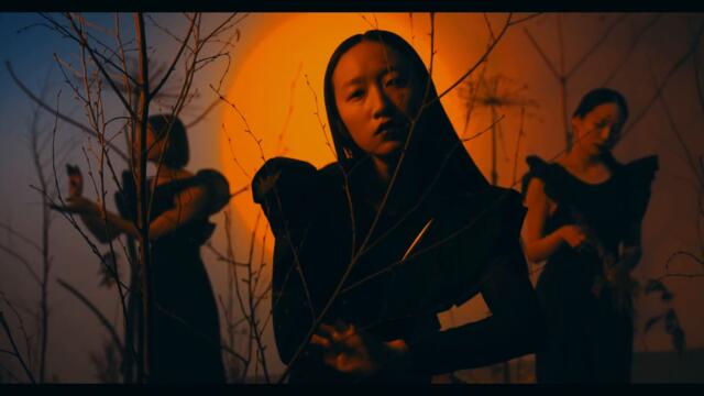 Wintry - Voices (Official Video)