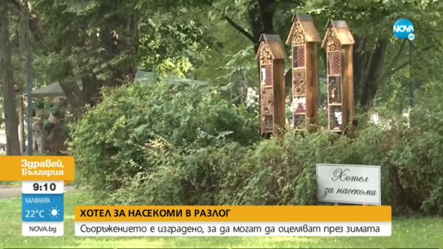 Откриха хотел за насекоми в Разлог - Здравей, България (30.08.2021)