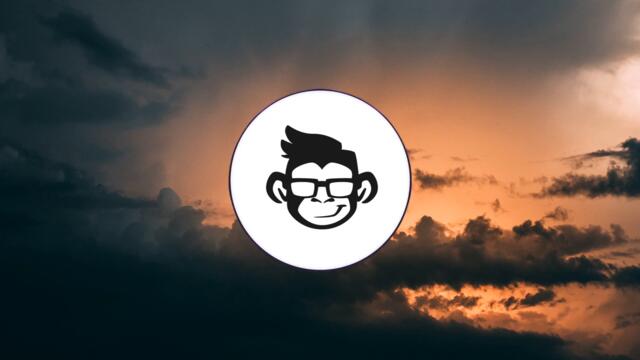 Flamingosis - Last Stop