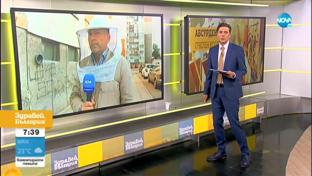 „Пълен абсурд”: Пчели превзеха панелен блок, произвеждат мед в отдушниците