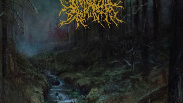 Bodies Set in Ashen Death