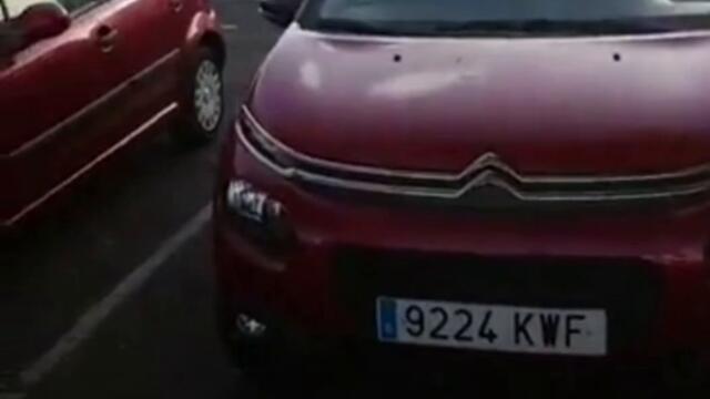 Канарските острови  НОВО!!!!!! ИЗ АРХИВИТЕ Borisov  Slots 18+